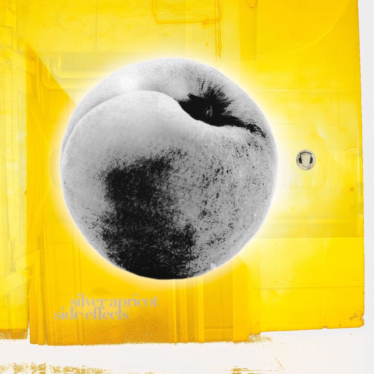 Sunny background with a metallic apricot on top.