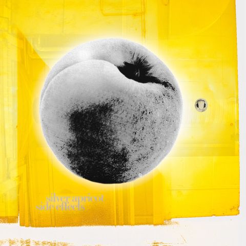 Sunny background with a metallic apricot on top.